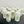 Graduation Candle With School Crest - Candles by Occasion